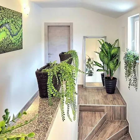 Villa Lux With Swimming Pool